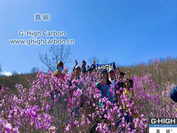 山野映山紅遍，嘉碳不負(fù)春光