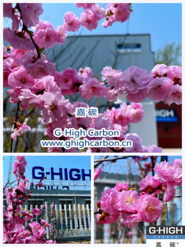 環(huán)保嘉碳，春花爛漫