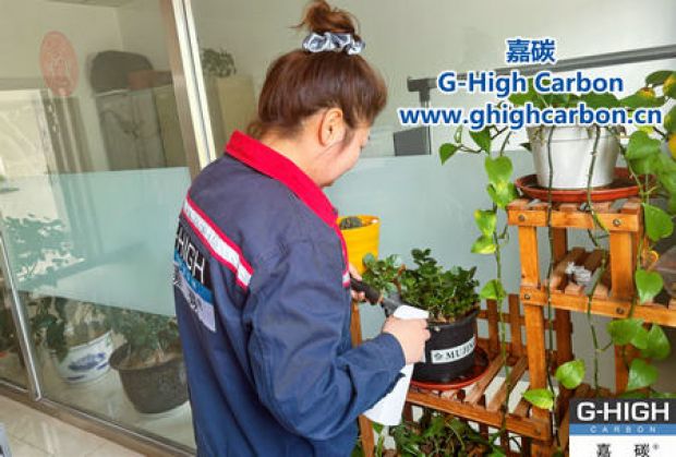 午休時光種花忙，美化辦公環(huán)境添綠意